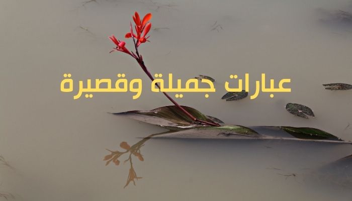 عبارات جميلة وقصيرة