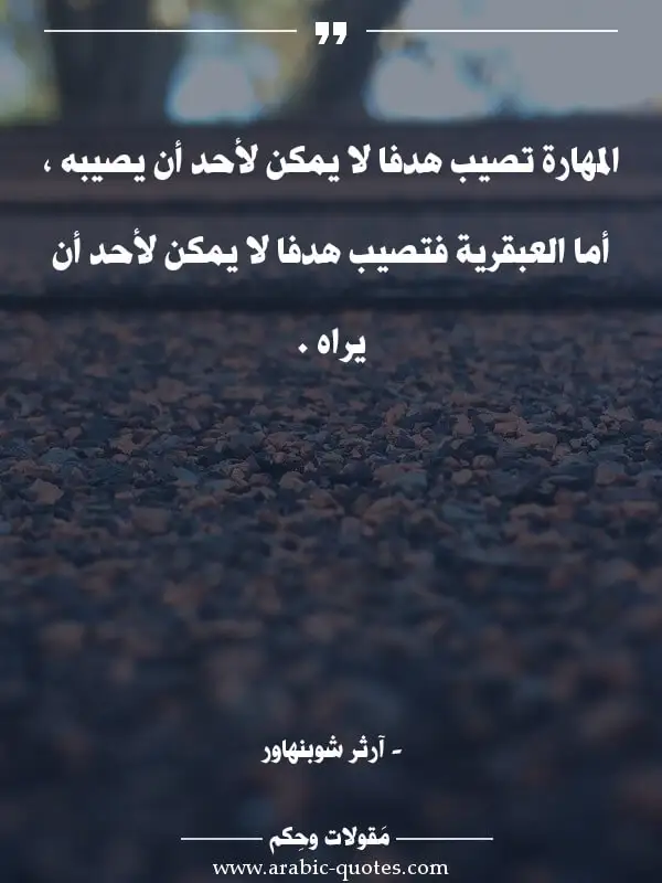 اقوال وحكم جميلة : المهارة تصيب هدفا لا يمكن لأحد أن يصيبه ، أما العبقرية فتصيب هدفا لا يمكن لأحد أن يراه .